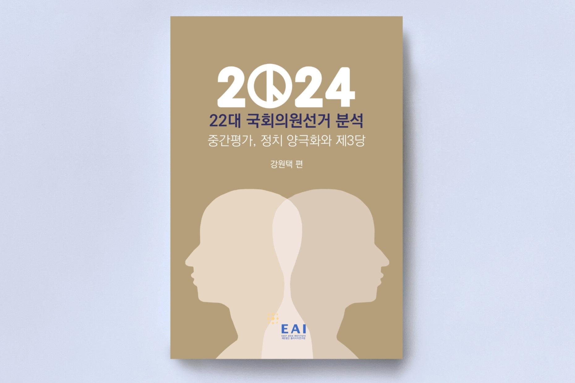 2024년 22대 국회의원선거 분석: 중간평가, 정치 양극화와 제3당