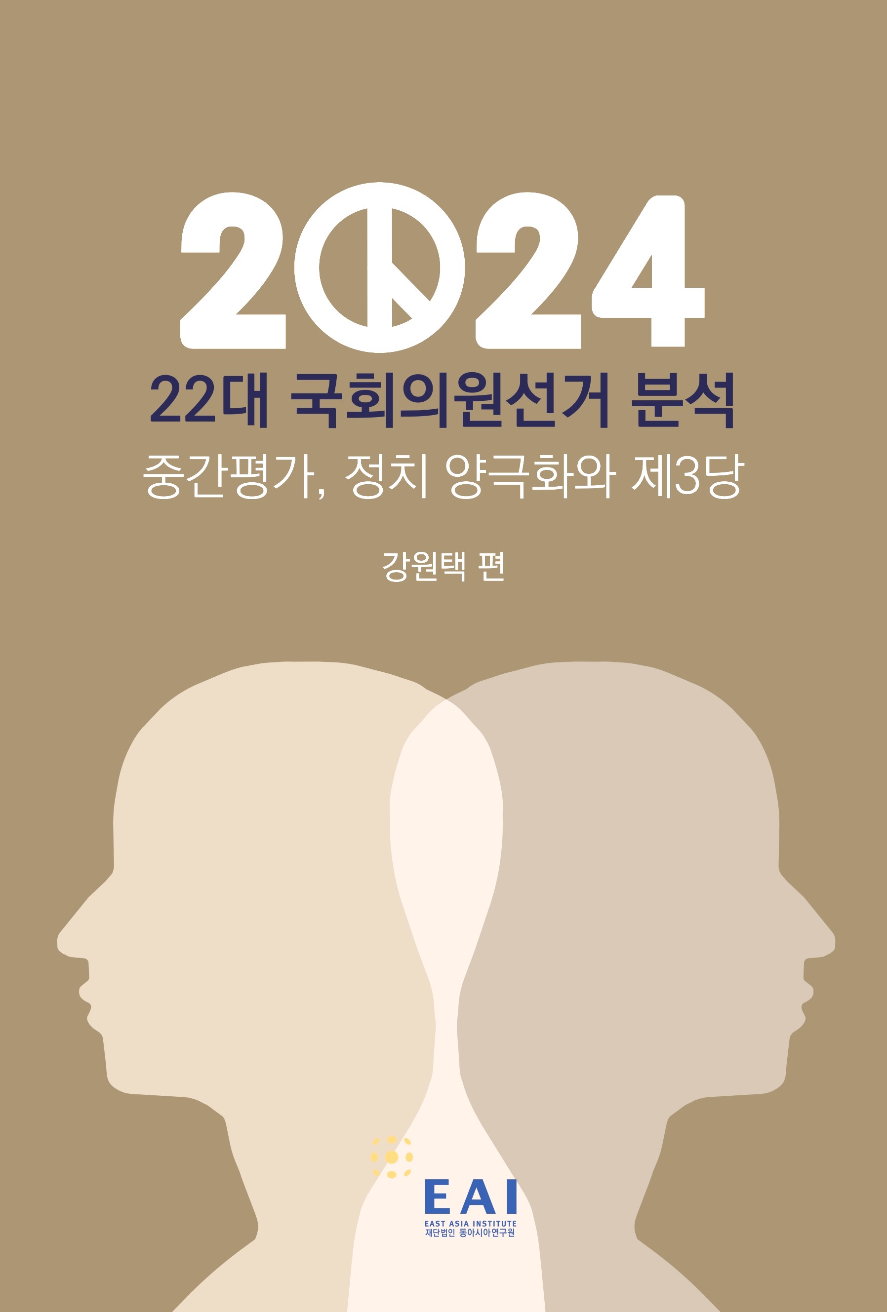 2024년 22대 국회의원선거 분석: 중간평가, 정치 양극화와 제3당
